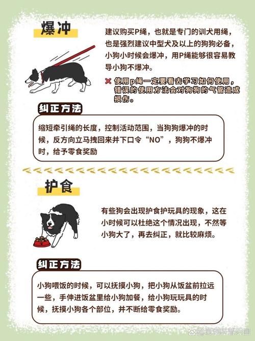轻松训练宠物狗：建立规矩，引导狗狗良好行为习惯