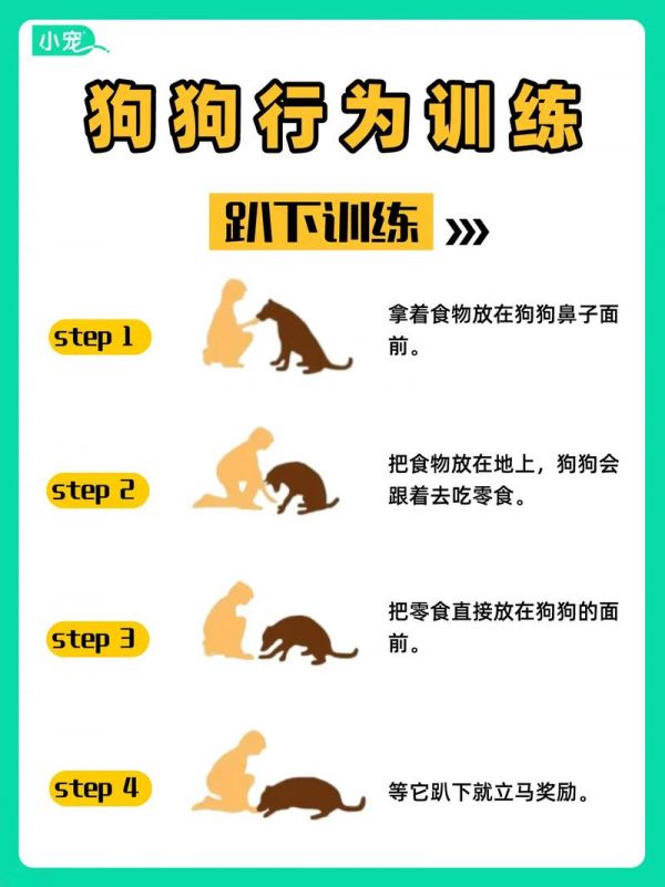 轻松训练宠物狗：建立规矩，引导狗狗良好行为习惯