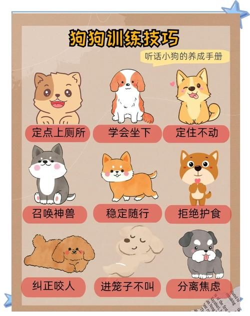 轻松训练宠物狗：建立规矩，引导狗狗良好行为习惯
