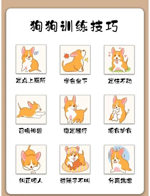 轻松训练宠物狗：建立规矩，引导狗狗良好行为习惯