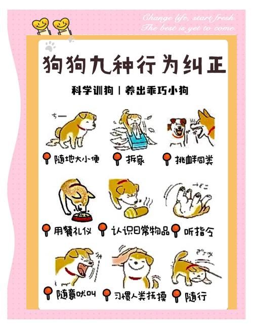 轻松训练宠物狗：建立规矩，引导狗狗良好行为习惯