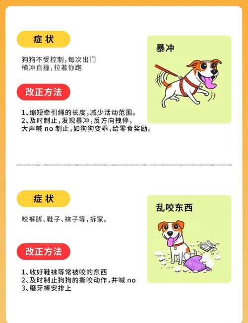 轻松训练宠物狗：建立规矩，引导狗狗良好行为习惯