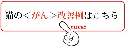 猫癌症改善案例请点击这里