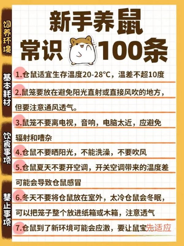 仓鼠饲养经验,仓鼠饲养经验分享