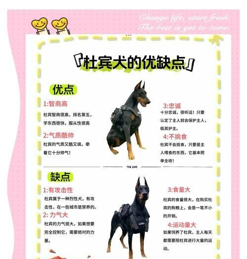 杜宾幼犬的理想狗粮选择是什么？