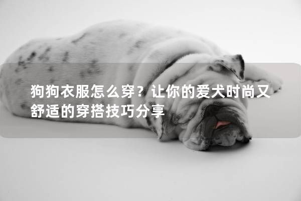 狗狗衣服怎么穿？让你的爱犬时尚又舒适的穿搭技巧分享
