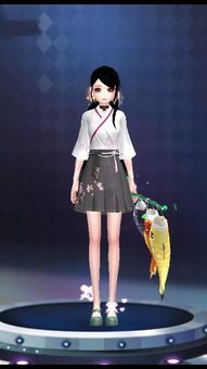 宠物服装搭配指南