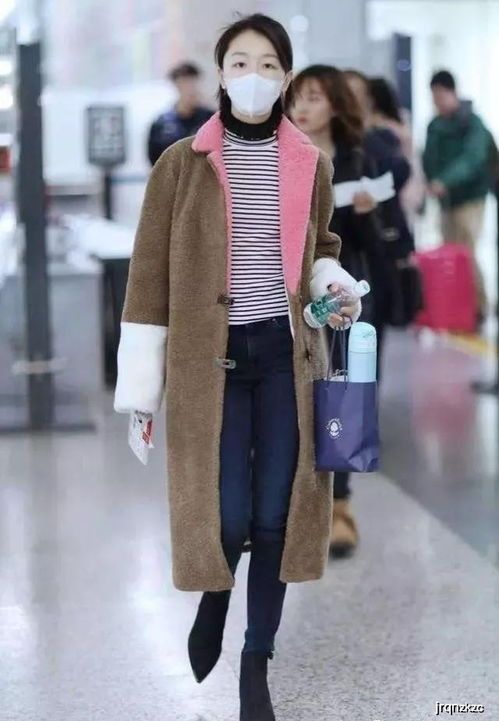 宠物服装设计图