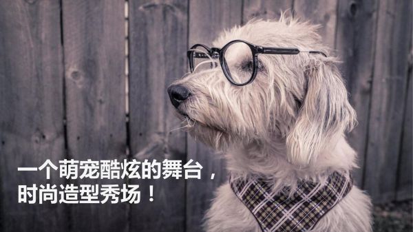 萌宠趣味嘉年华活动策划方案