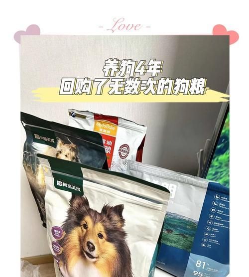 狗狗喜欢的美味狗粮有哪些选择？
