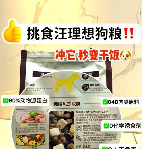 狗狗喜欢的美味狗粮有哪些选择？