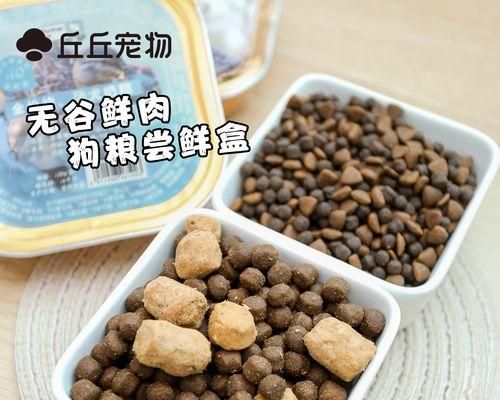 从口味到健康，如何选购健康宠物狗粮（从口味到健康）