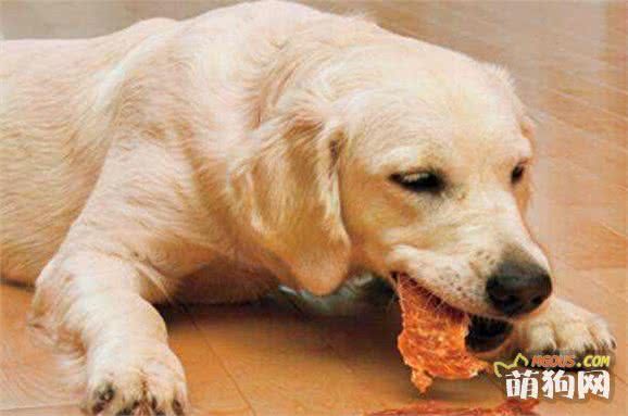 如何给狗狗选零食？不用在烧脑