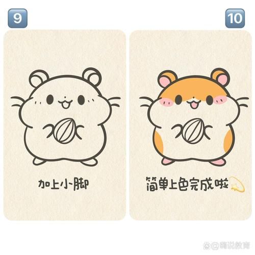 可爱小仓鼠91请投喂|附简笔画教程