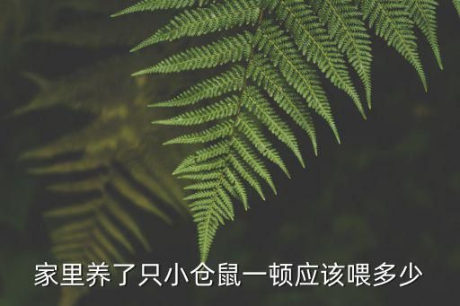 家里养了只小仓鼠一顿应该喂多少