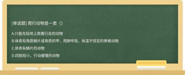 爬行动物是一类（）