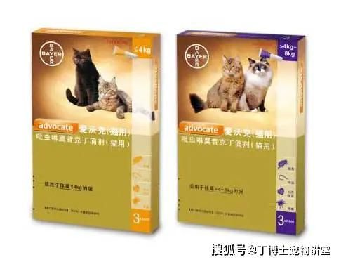“宠物驱虫，防病从‘毛’开始”