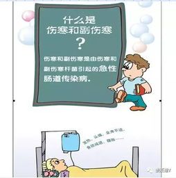 宠物健康守护：科学防治传染病