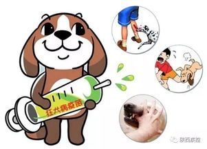 宠物健康守护：科学防治传染病