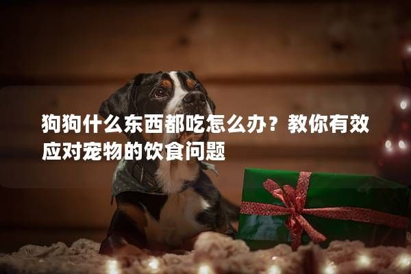 狗狗什么东西都吃怎么办？教你有效应对宠物的饮食问题