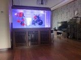 卖鱼缸的地方卖水族箱定制鱼缸锦鲤鱼池建造鱼缸清洗鱼缸安装