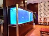 上海鱼缸定制松江卖鱼缸的地方定制鱼缸观赏鱼专卖批发
