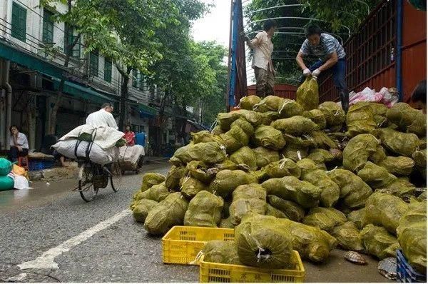 象征长寿的中国龟鳖,如今命落穷途