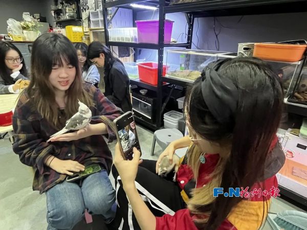 “撸蛇”“撸蜥蜴”！福州年轻人，喜欢上“特别的”……