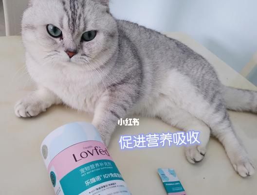 猫咪营养品全解析（从健康饮食到全面营养）
