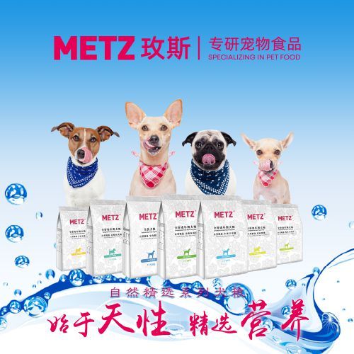 老年犬粮,看狗狗年龄和需求选