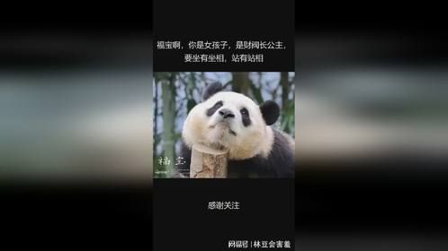 福宝啊，你是女孩子，是财阀长公主，要坐有坐相，站有站相