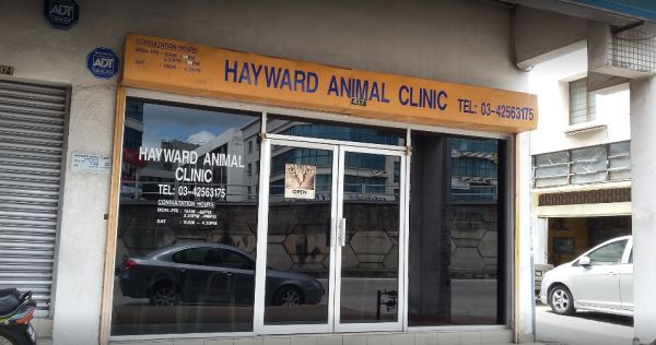 hayward