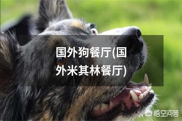 国外狗餐厅(国外米其林餐厅)
