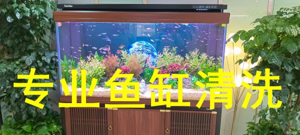店主头像