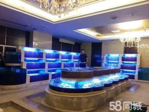 家德龙水族工程·海鲜池改造 制冷机维修及更换 鱼缸维修 冷库维修 鱼池维护 设备检修