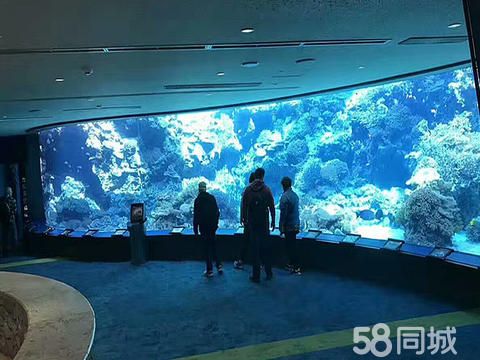 家德龙水族工程·大型亚克力鱼缸 观赏鱼缸 海鲜池定制 海洋工程 冷库各类鱼缸海鲜池定做