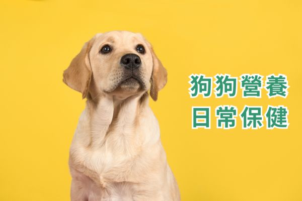《寵物保健食品聖經》推薦必看！貓咪狗狗保健品到底該如何挑選？