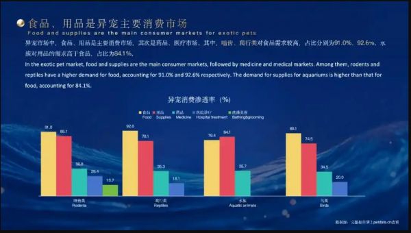 《2025年中国宠物行业白皮书（消费报告）》