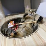 缺德拉宝
