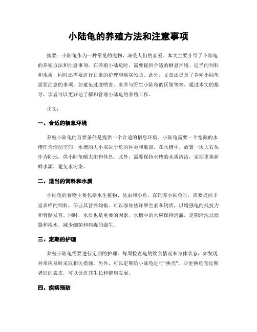 小陆龟的养殖方法和注意事项