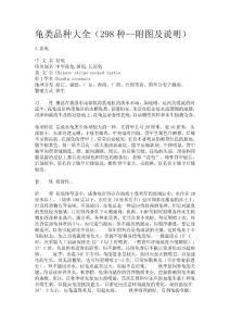 龟类品种大全(298种--附图及说明)