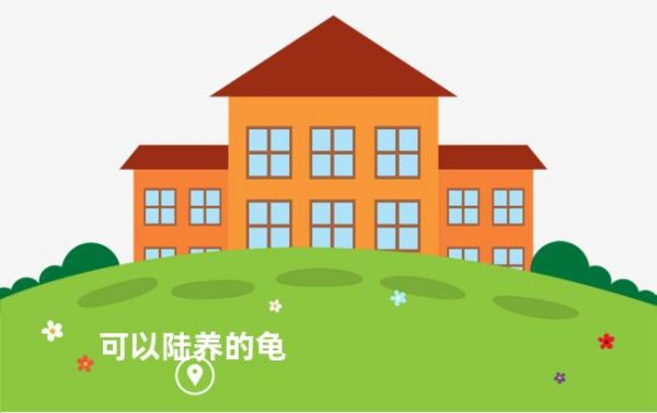 可以陆养的龟