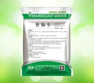微生物制剂选择指南 龙鱼疾病与治疗 第6张