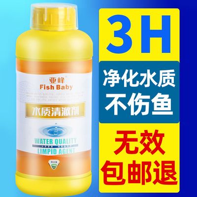 鱼病咨询指南，如何识别、预防与治疗常见鱼类疾病，鱼病防治全攻略，识别、预防与治疗常见鱼类疾病指南 龙鱼常见疾病 第3张