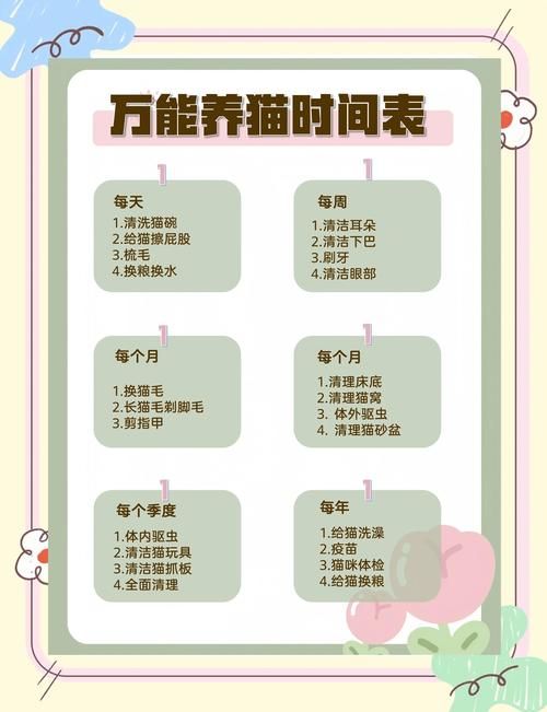 宠物猫日常护理小常识教案：猫猫护理日常