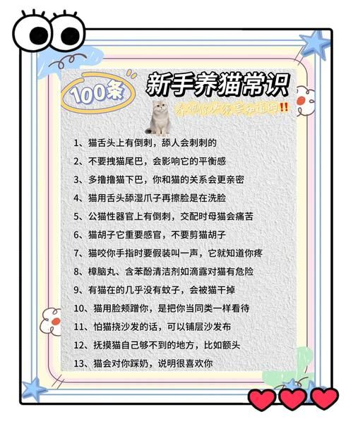 宠物猫日常护理小常识教案：猫猫护理日常