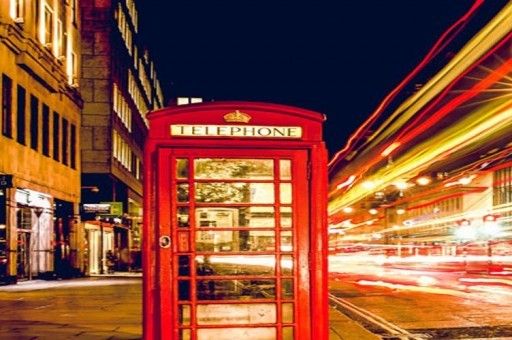 世界最名贵的十大宠物猫2023最新排名前十名对比