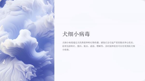兽医师培训课件：常见宠物疫病免疫程序_第5页