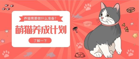萌猫养成计划公众号首图