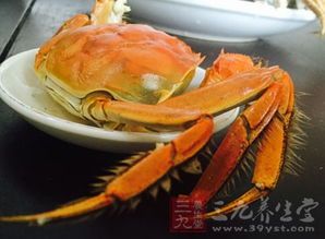 宠物狗吃螃蟹过敏?调整饮食是关键。